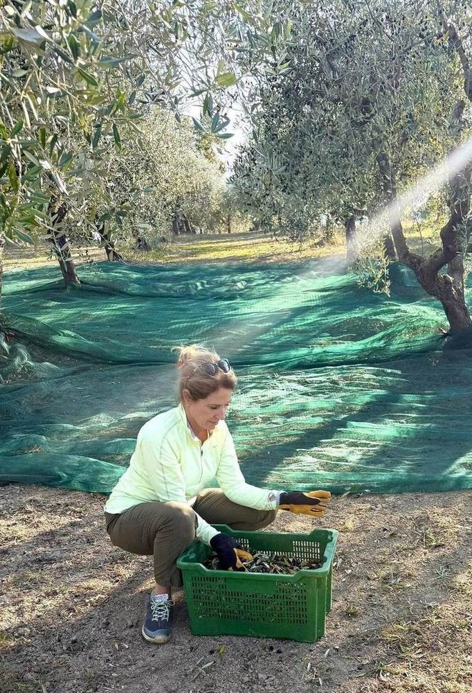 Il Bel Cuore family harvest