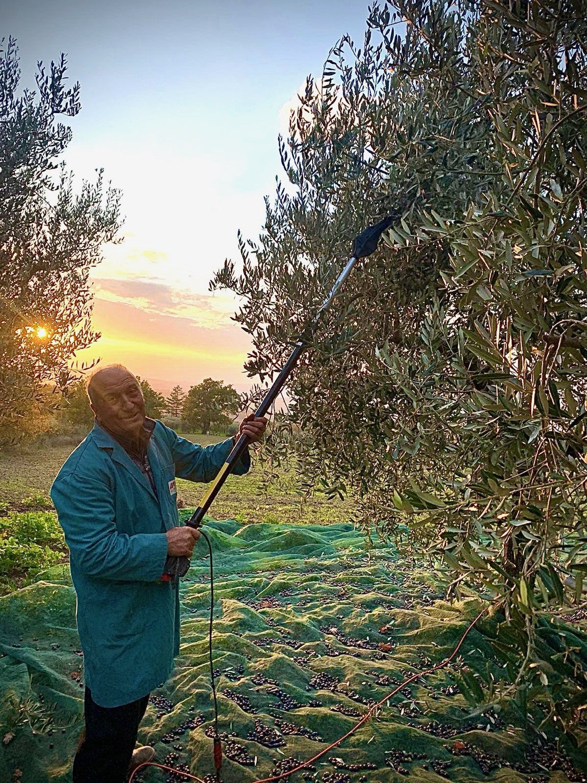 Il Bel Cuore family harvest