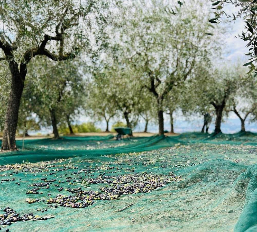 Il Bel Cuore estate in Umbria