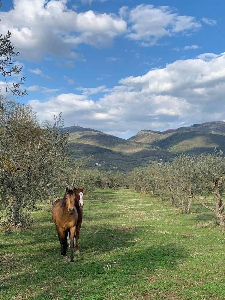 Il Bel Cuore estate in Umbria
