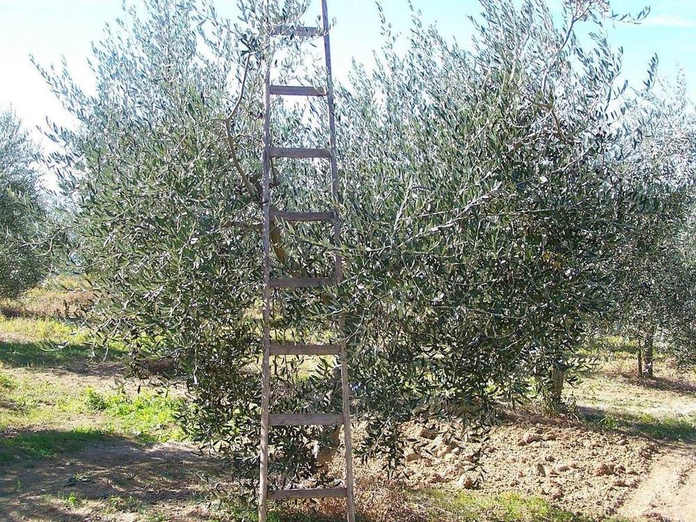 Il Bel Cuore estate in Umbria