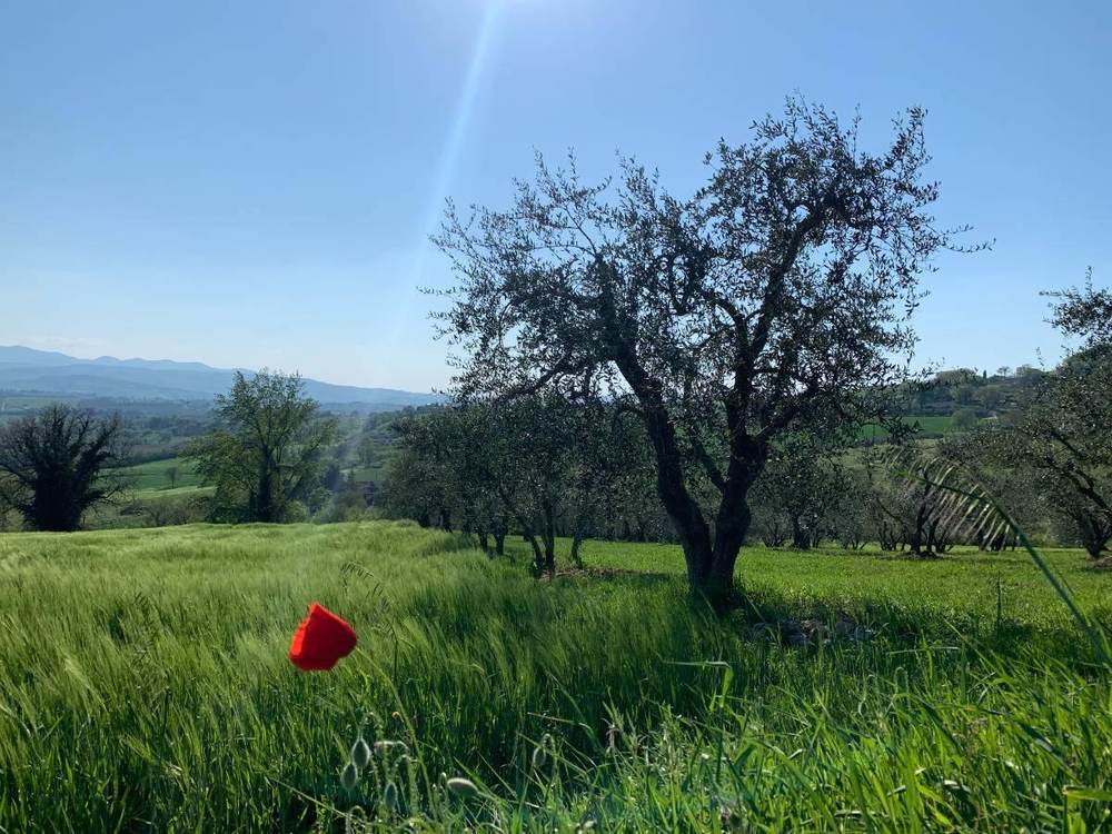 Il Bel Cuore estate in Umbria