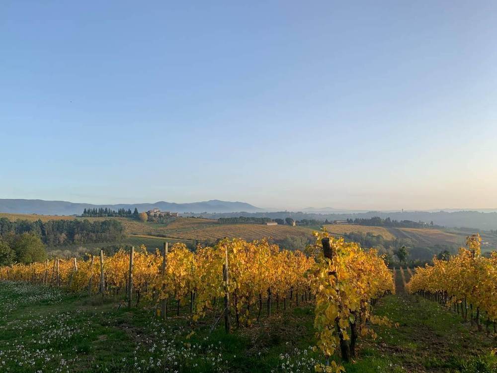 Il Bel Cuore estate in Umbria